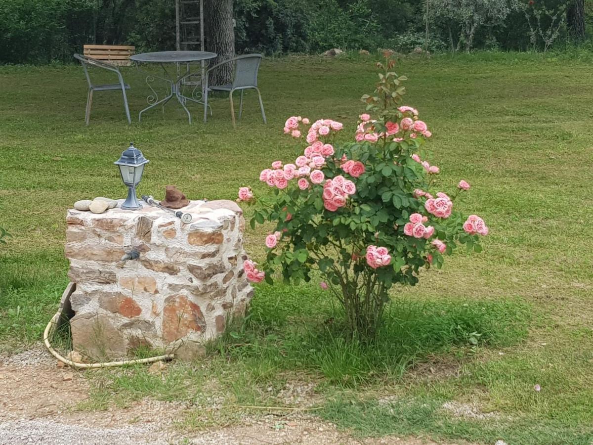 Le Jardin Des Selves Bed and Breakfast Draguignan Exteriör bild